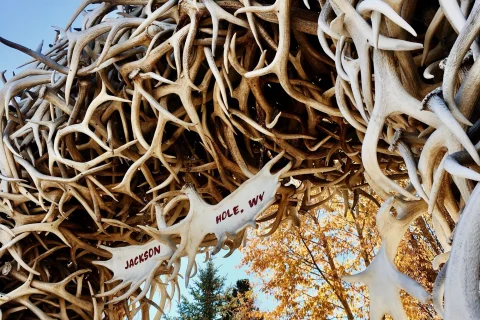 archway made of white elk antlers