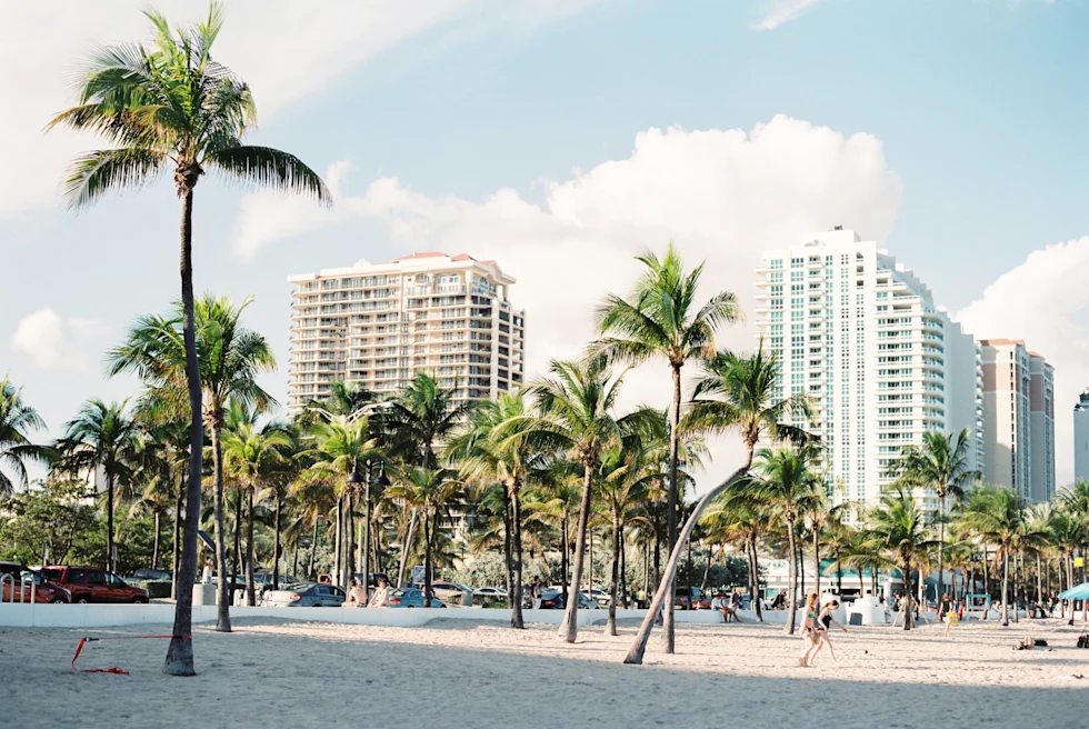 High rise buildings and palm trees in Miami.