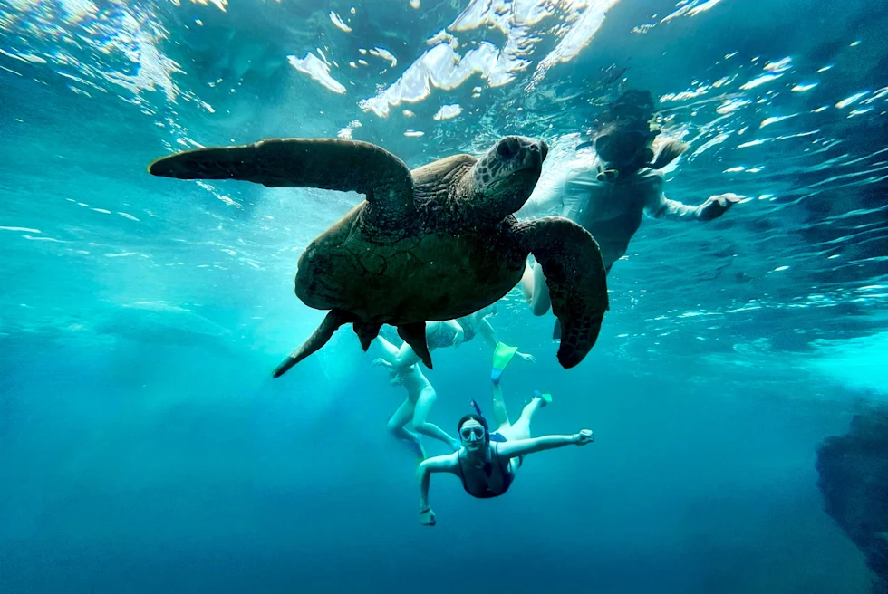 A group of girls with turtle swim