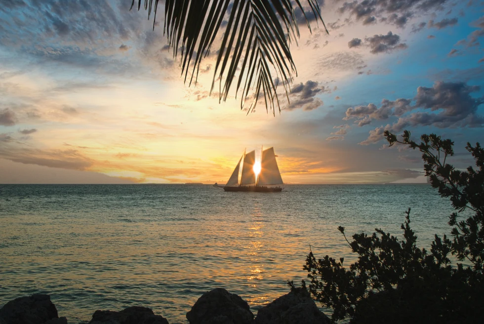 sailboat in the ocean during sunset