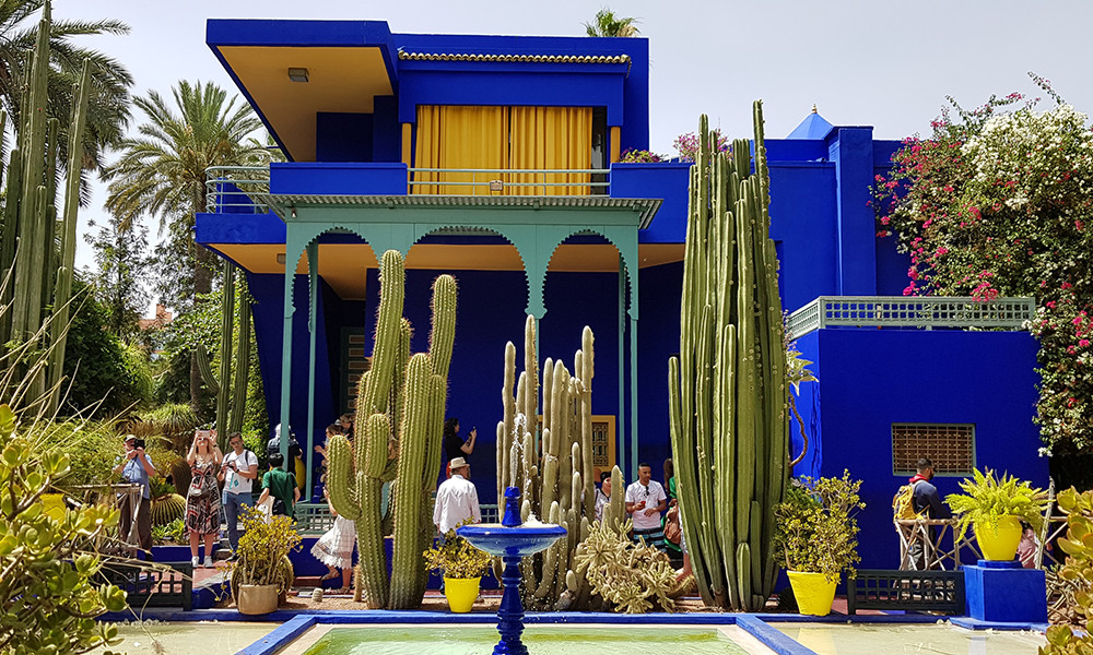 yellow and blue house in Morocco Marrakech and tall cactus