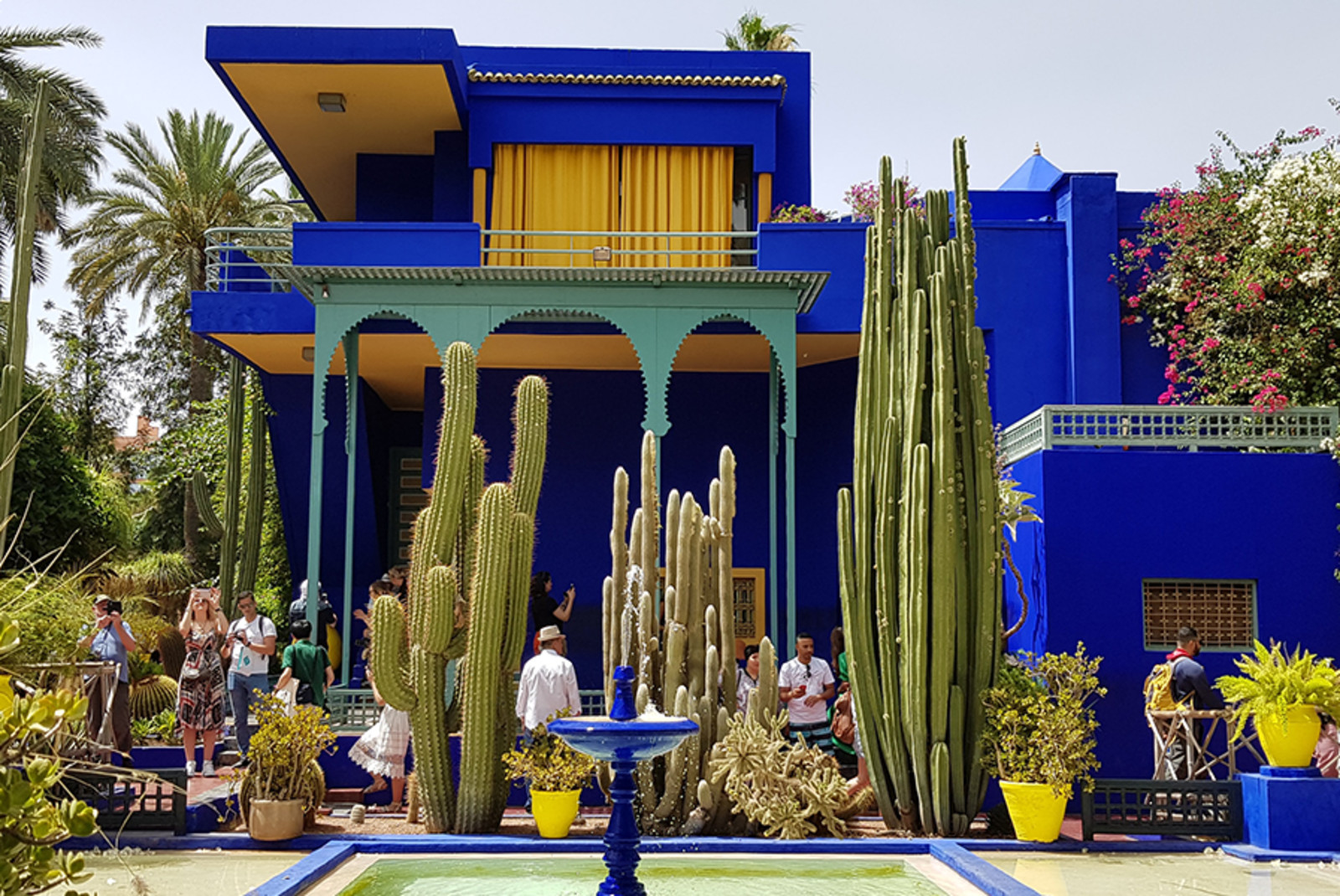 yellow and blue house in Morocco Marrakech and tall cactus