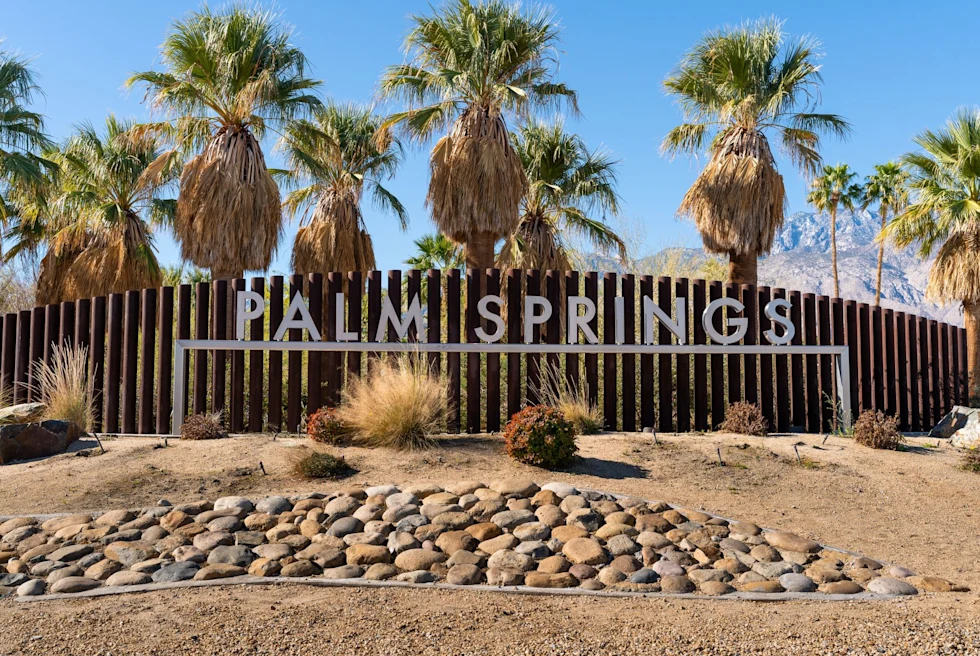 sign reads, "palm springs" with palm trees in the background