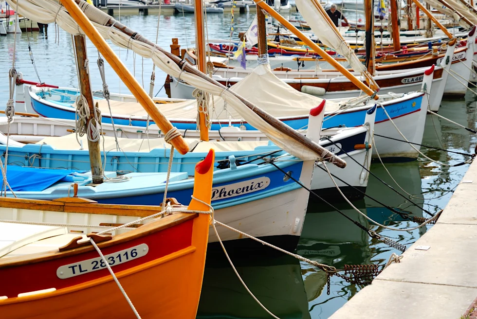 boats in harbor