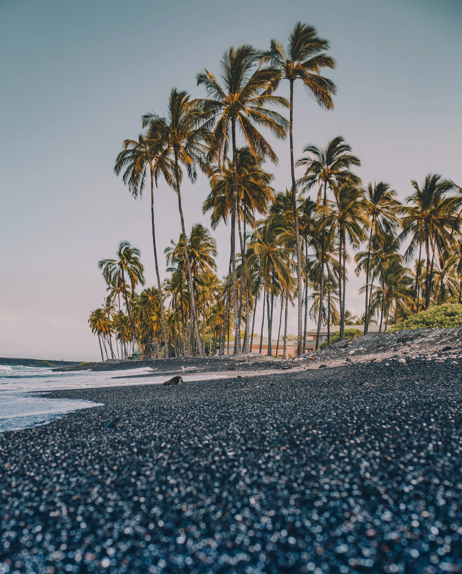 black sand beach with palm trees during sunset, a must-see for a weekend in Hawaii