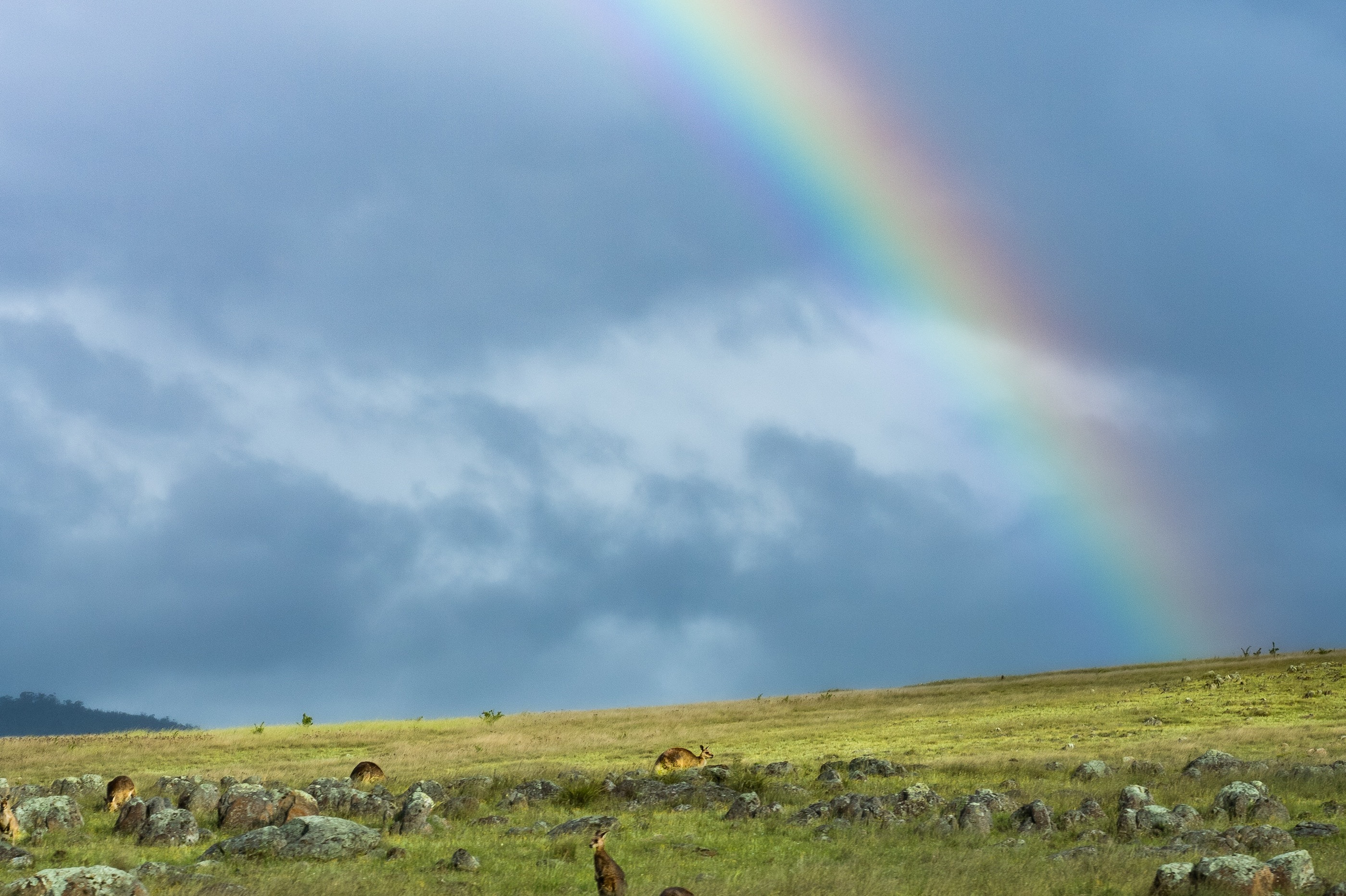 Where to Go Horseback Riding in Australia