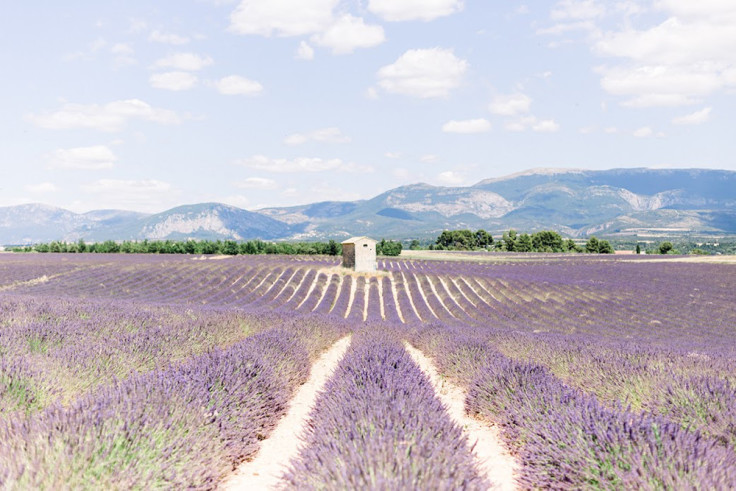 Provence with Kids curated by Claudia Riegelhaupt