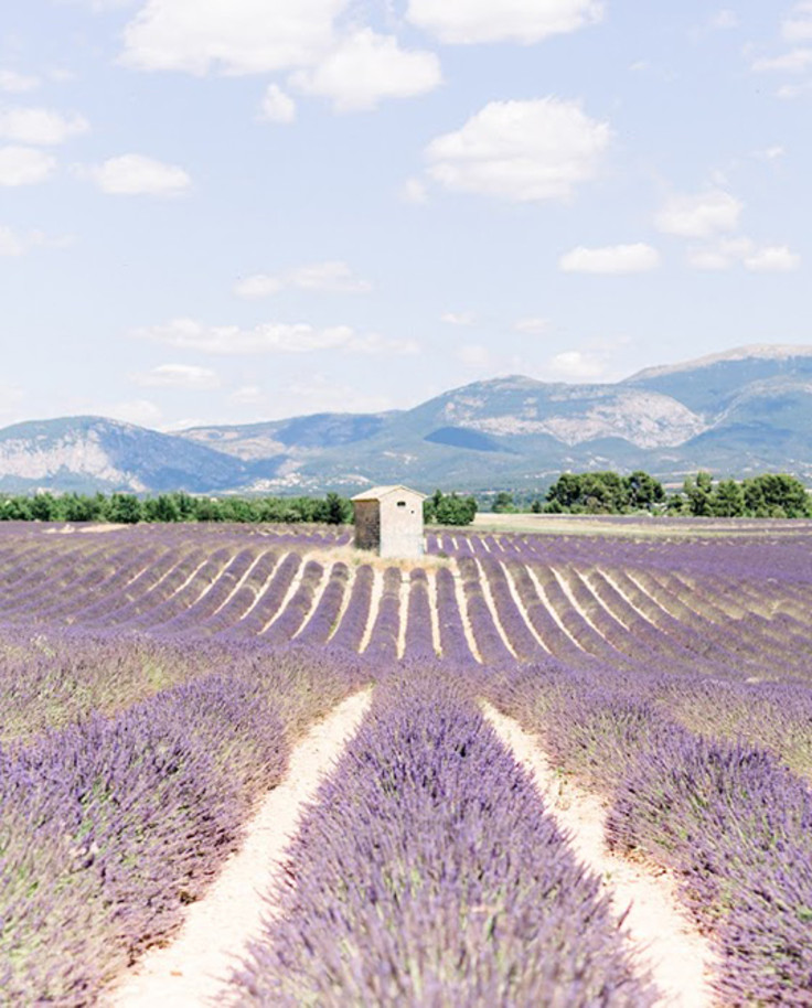 Provence with Kids curated by Claudia Riegelhaupt