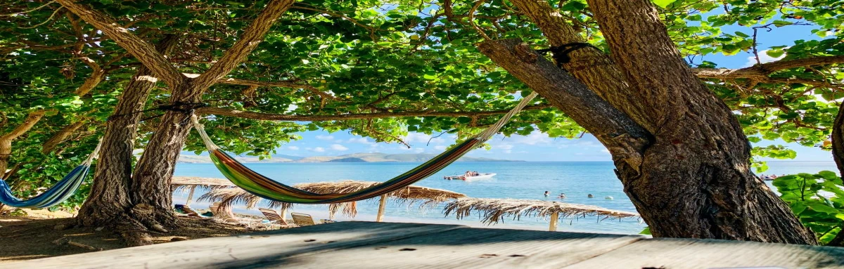 Hammock hung between trees on the beach on sunny day.