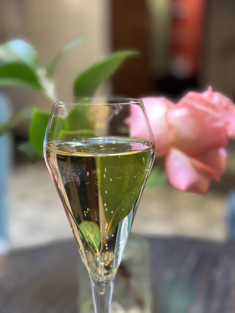A close up view of a glass of champagne with a pink flower behind