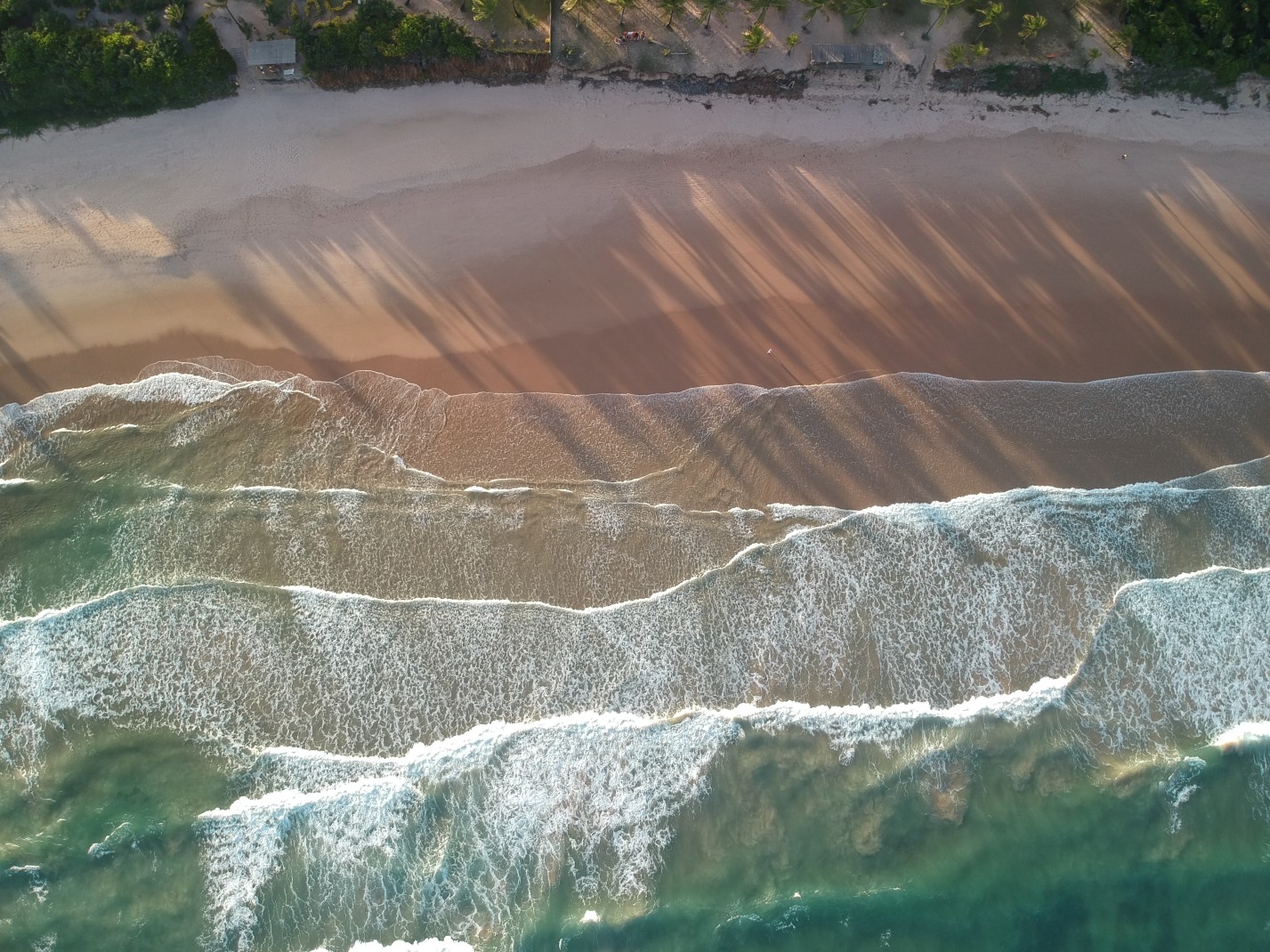 Aerial view of the sand and ocean during daytime