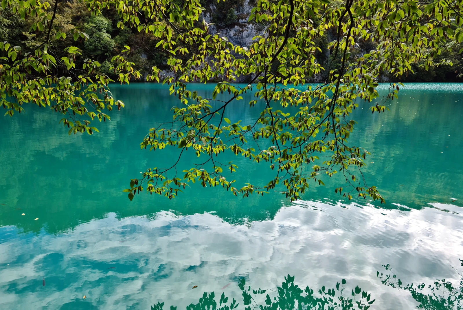 Plitvice Lakes National Park blue water. 
