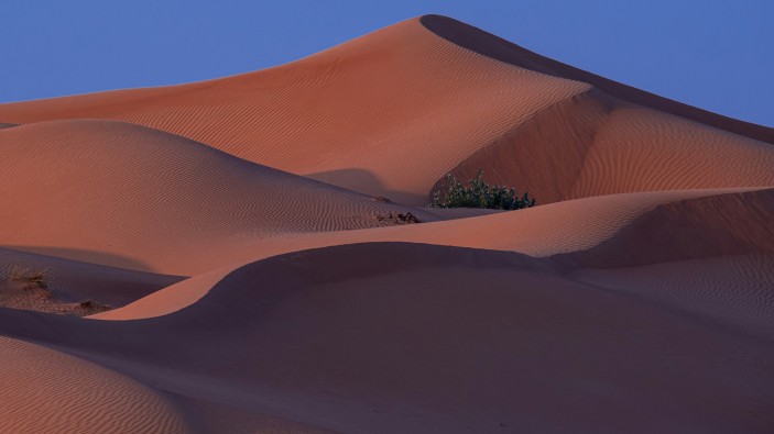  United Arab Emirates (UAE)