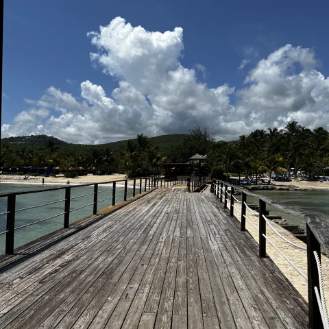 A picture of a boardwalk on water in Jamaica. 