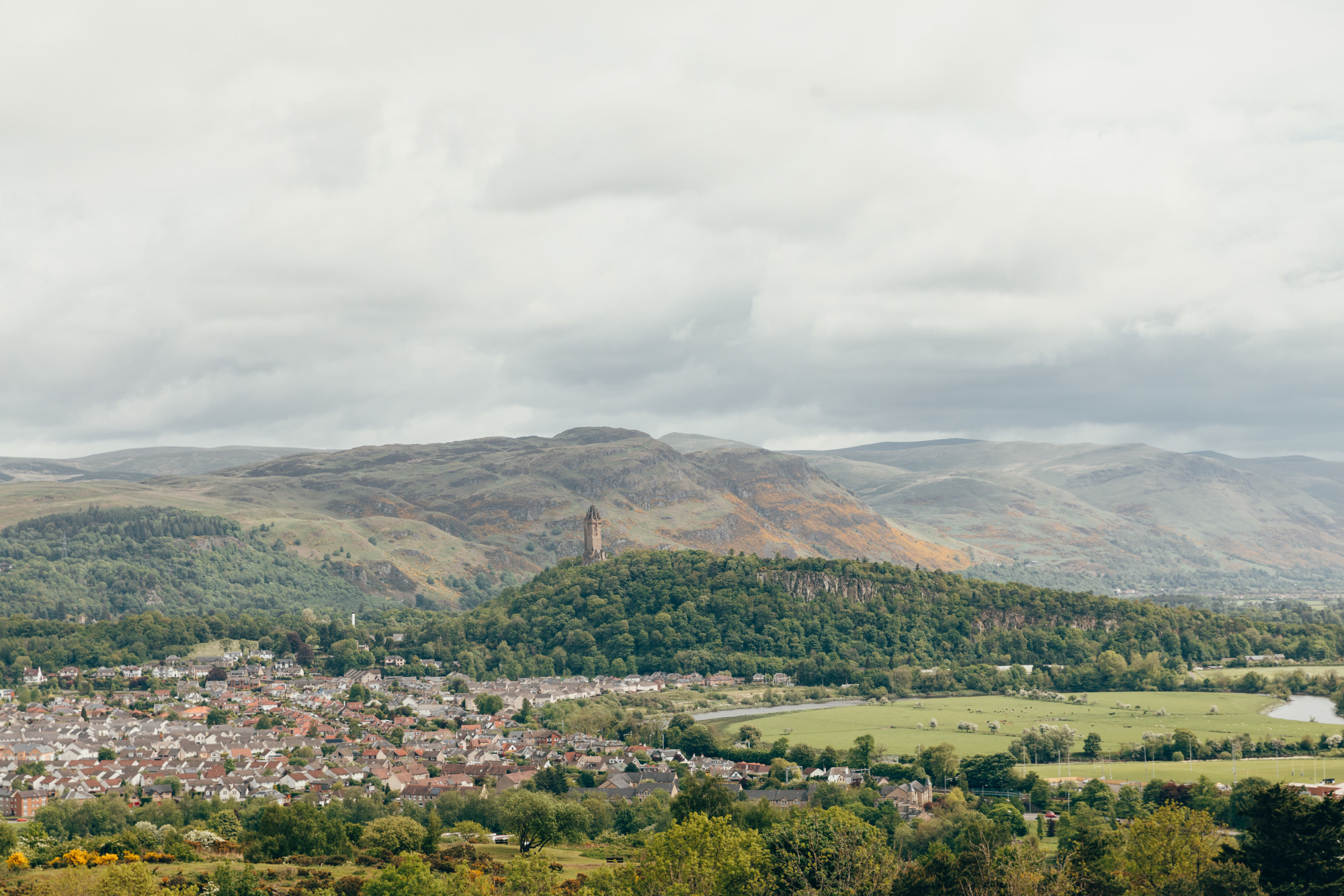 A splendid view of a green valley