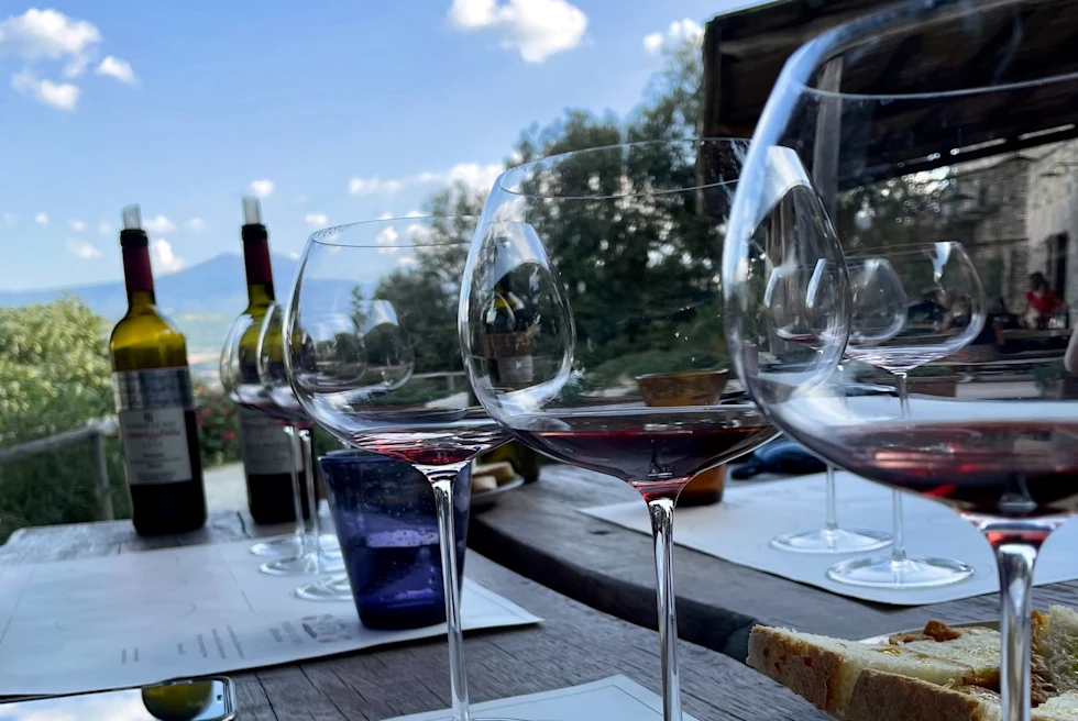 large glasses filled with a sip of red wine for a tasting