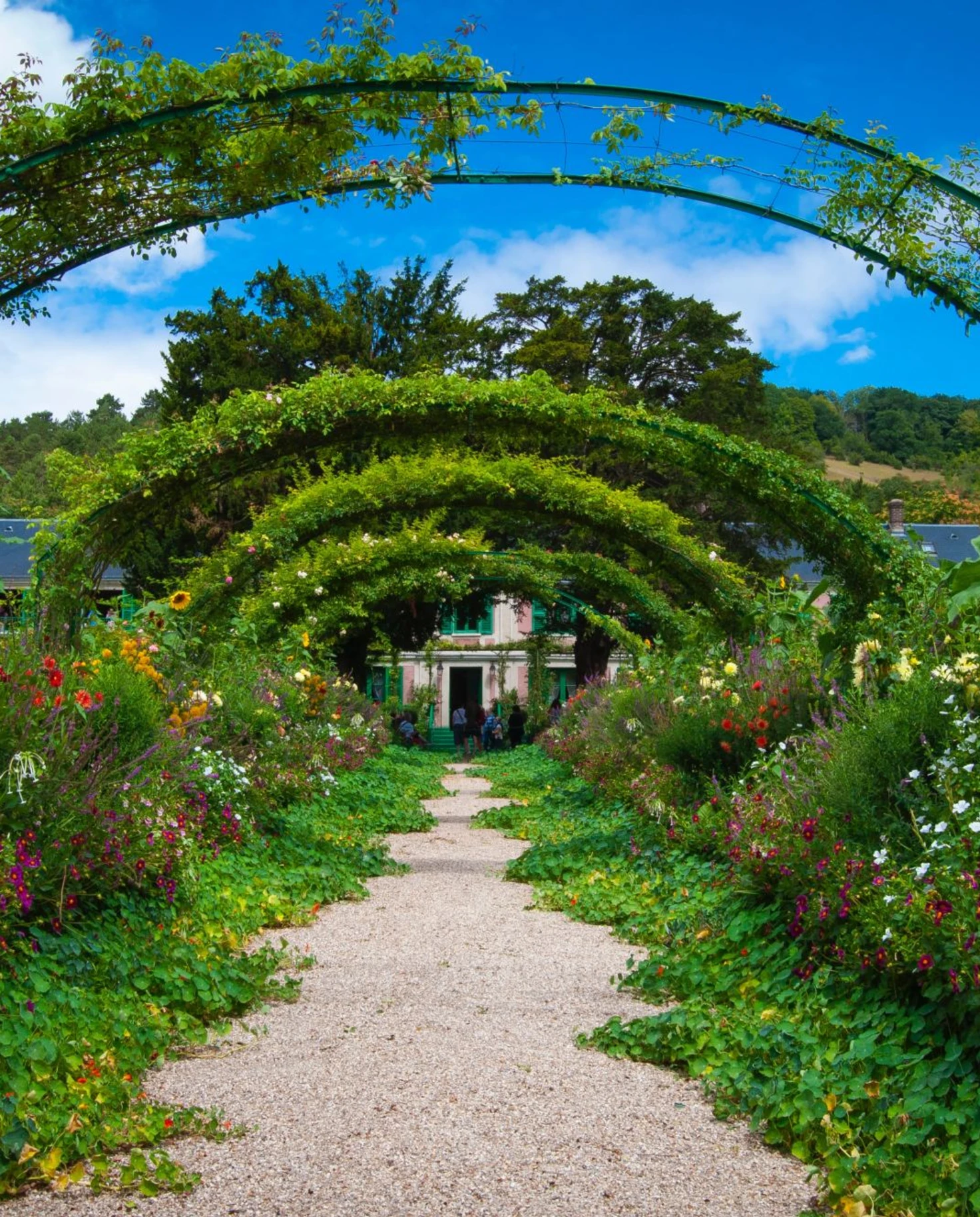 flower arch in a botanical garden