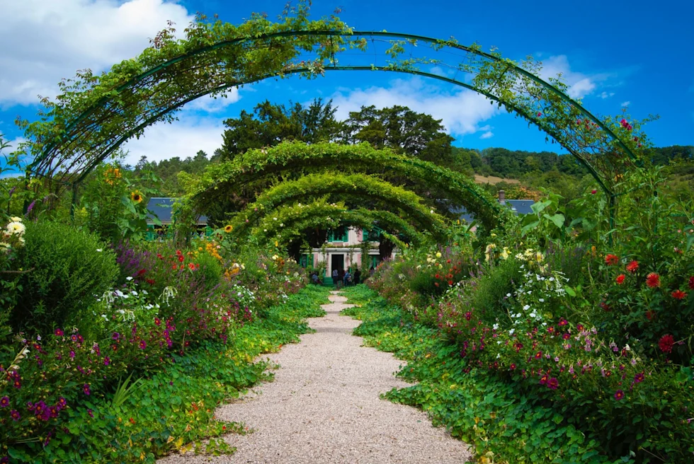 flower arch in a botanical garden