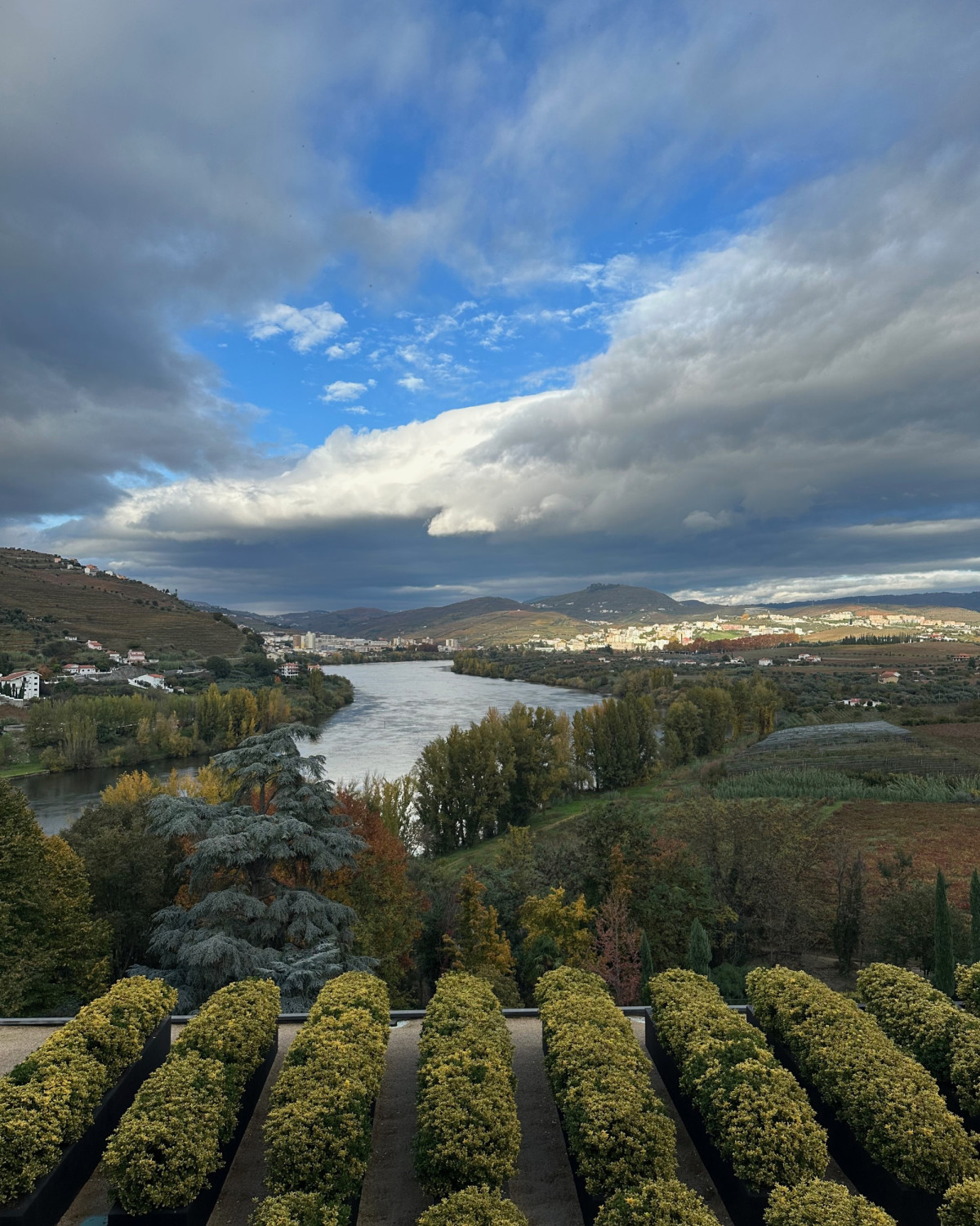 Douro River - Kristyne Wada