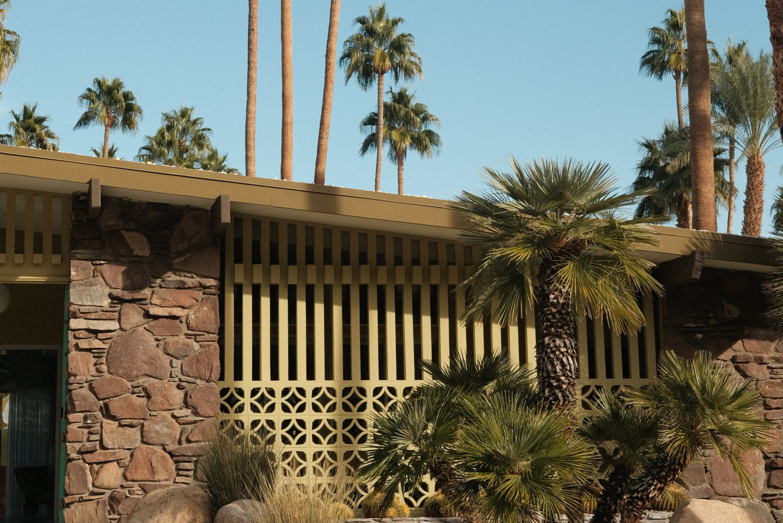 House next to palm trees during daytime