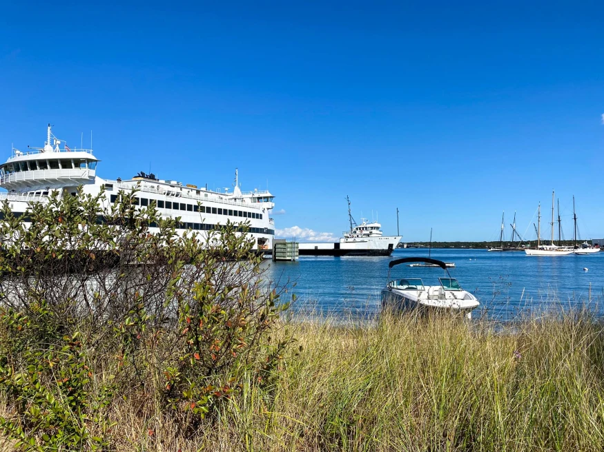 view from grassy shore of large ferry in a harbor and other smaller boats