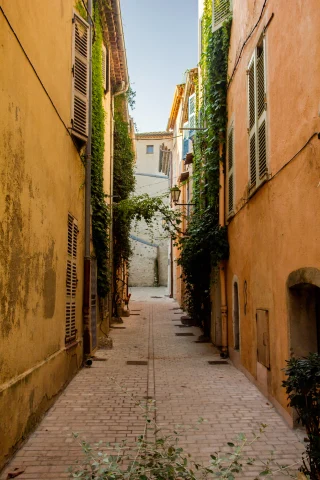 Empty pebble-stone street in Saint Tropez, flanked by yellow buildings and hanging ivy plants. 