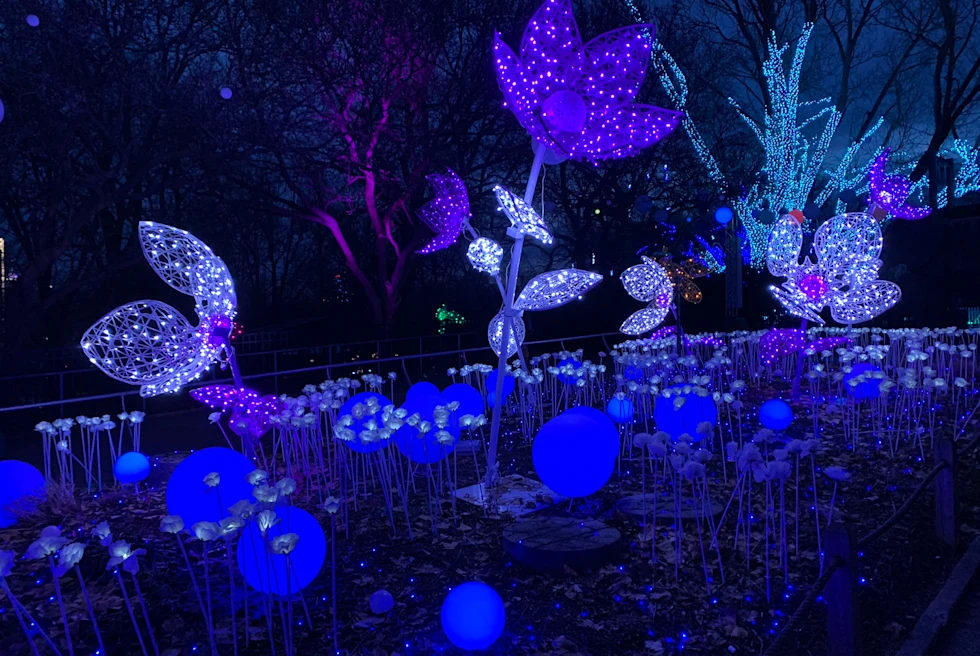 neon colored lights in a dark room