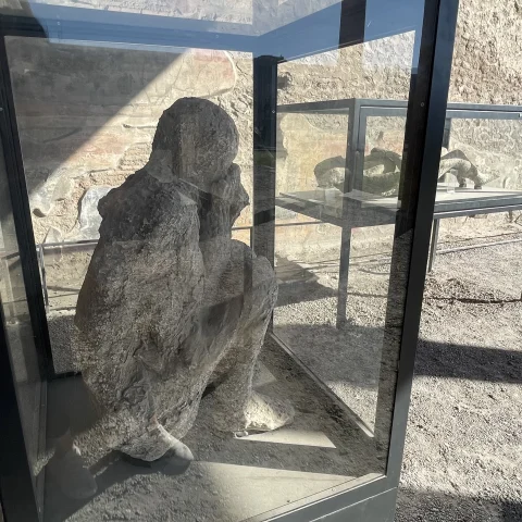 A human cast in a glass box. 