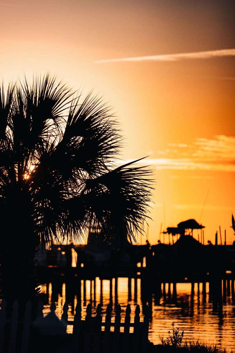 silhouette of palm trees and dock in orange sunset