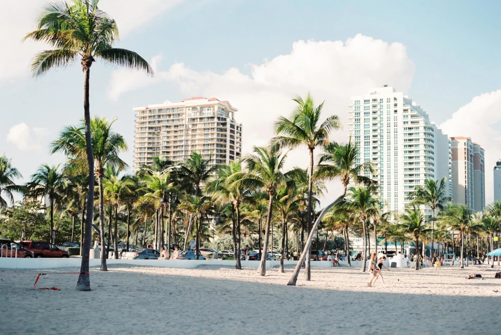 beach with palm trees and large hotels in the distance