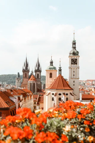 The rooftops of Prague framed by orange flowers. 