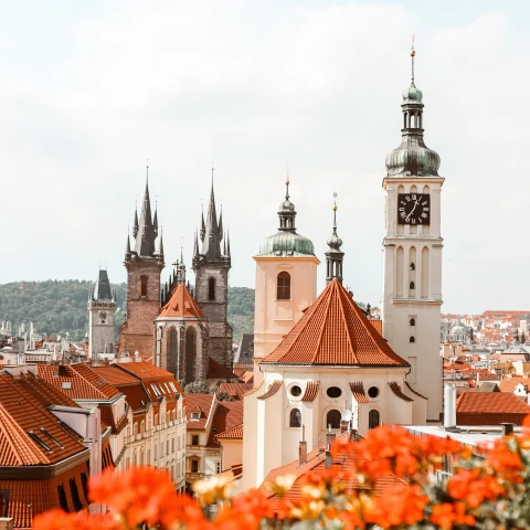 The rooftops of Prague framed by orange flowers. 