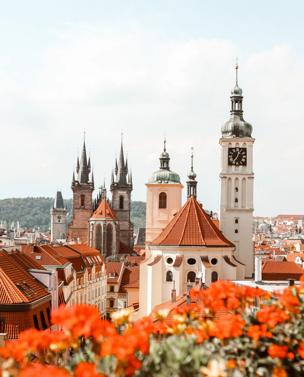 The rooftops of Prague framed by orange flowers. 