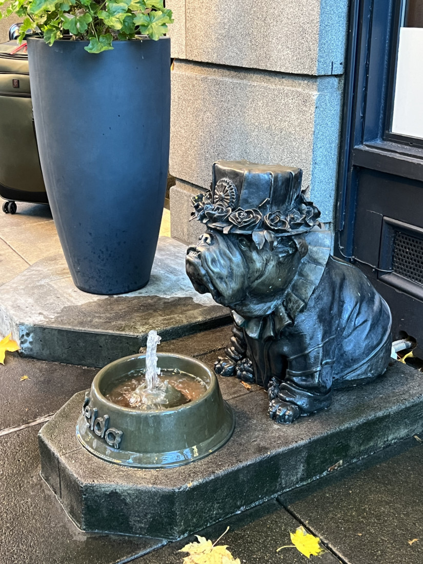A dog fountain with a statue of a bulldog wearing a hat. There is a planter in the background. 
