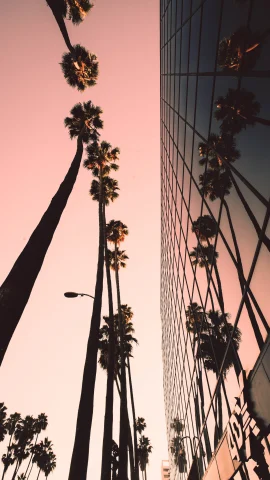 Los Angeles is the vibrant heart of the entertainment industry, where palm-lined streets, diverse cultures, and endless sunshine come together in a sprawling urban tapestry.