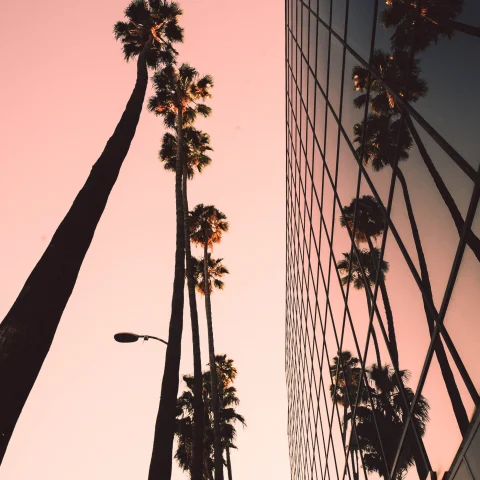 Los Angeles is the vibrant heart of the entertainment industry, where palm-lined streets, diverse cultures, and endless sunshine come together in a sprawling urban tapestry.