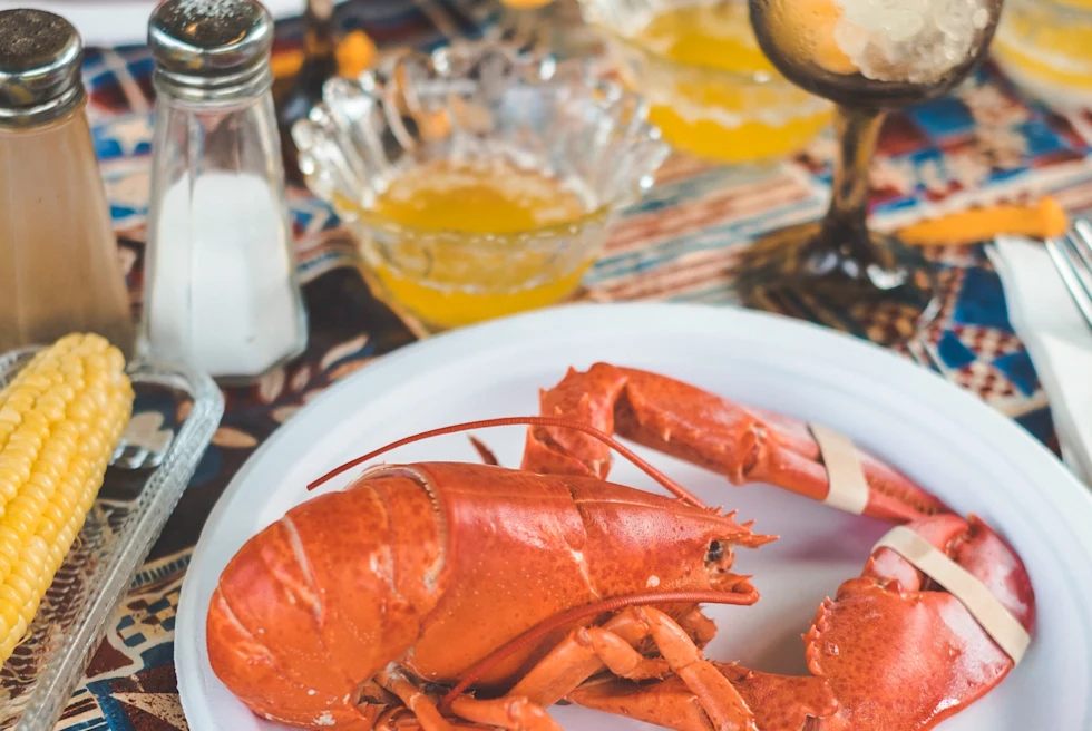 A red lobster on a plate in Maine.