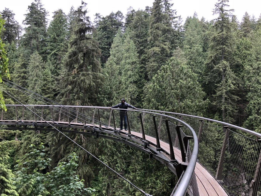 A man on a bridge in the forest