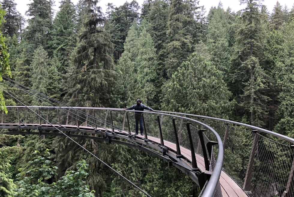 A man on a bridge in the forest