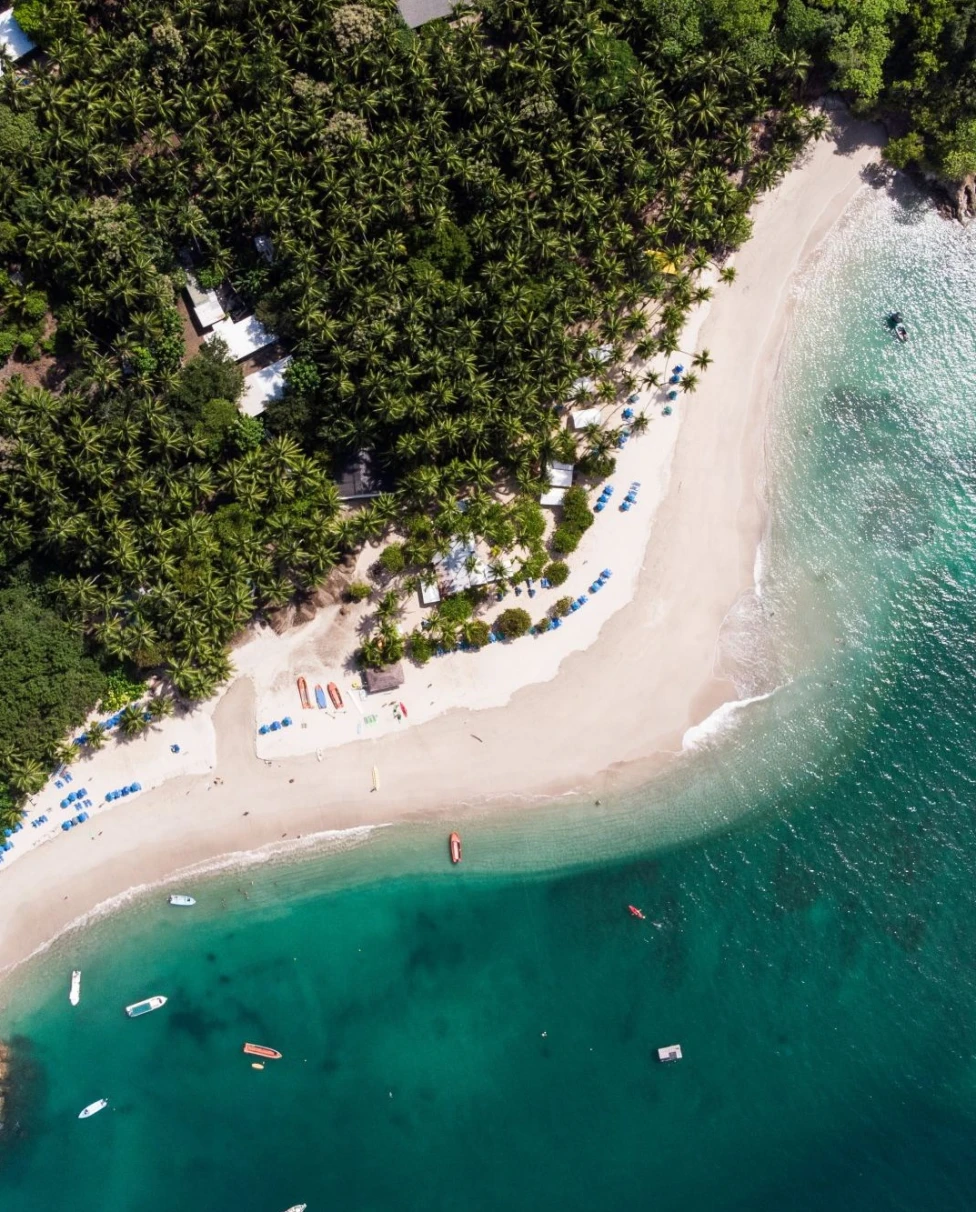 aerial view of a jungly beach