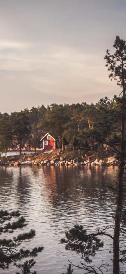 Serene lake surrounded by forest of pine trees in Sweden. 