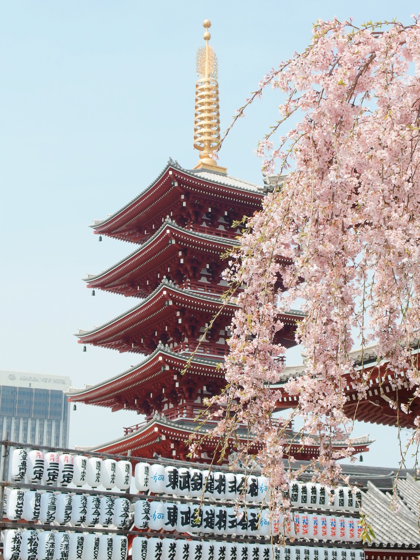 temple next to tree with pink flowers during daytime