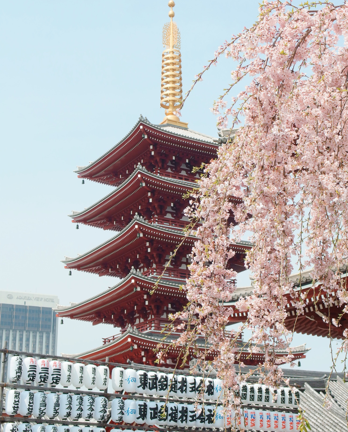 temple next to tree with pink flowers during daytime