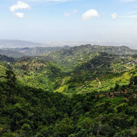 lush mountain valley on a sunny day