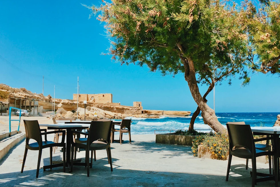 tables and chairs outdoors next to a tree during daytime