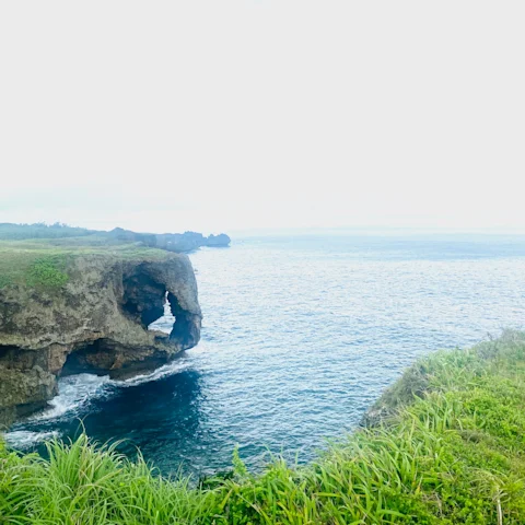 Cindy Rhee | Fora Travel