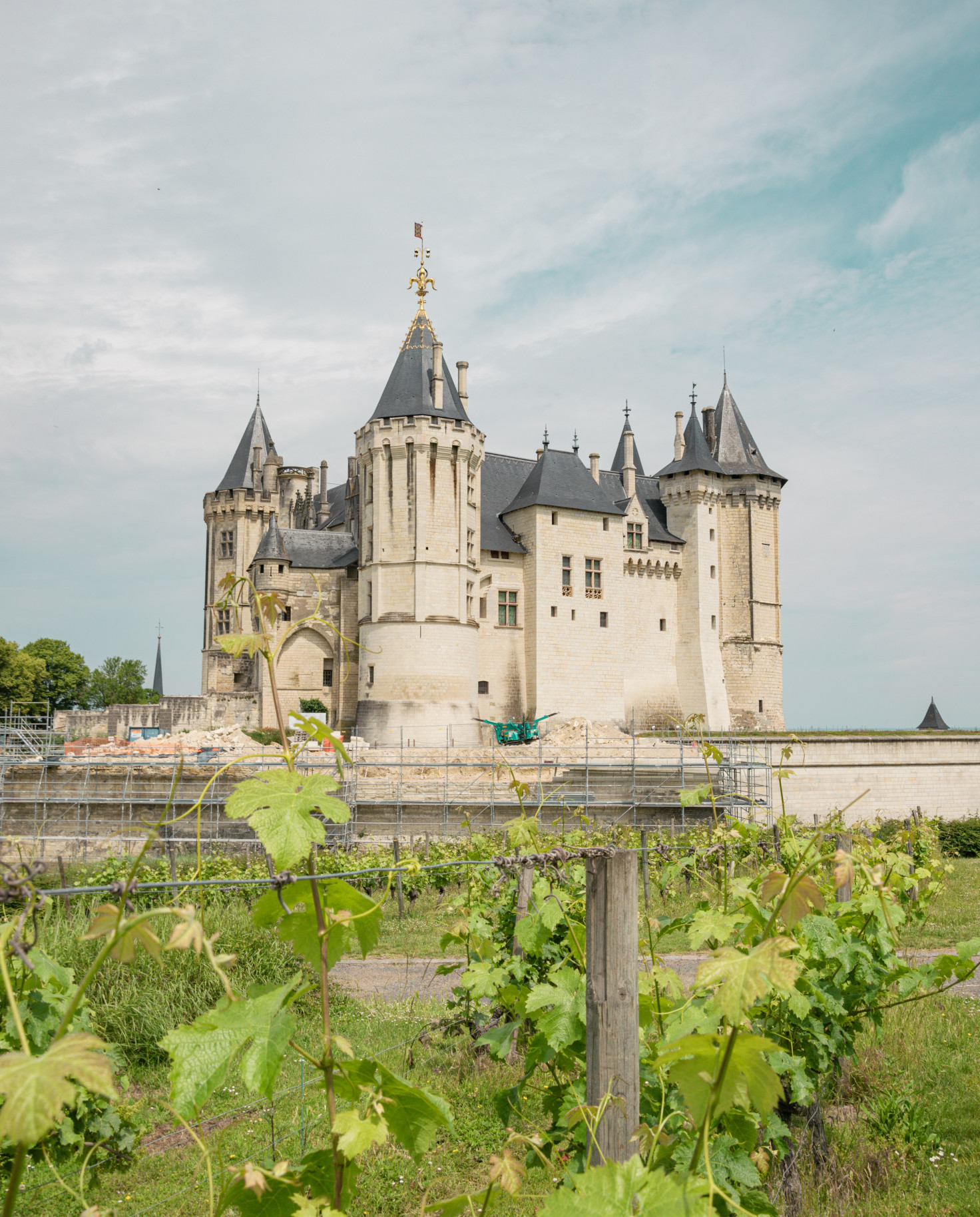 Vineyard in the foreground with a white castle in the background on a cloudy day