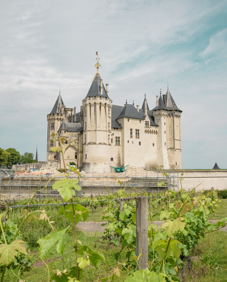 Vineyard in the foreground with a white castle in the background on a cloudy day