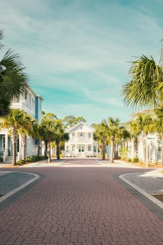 large white houses next to palm trees during daytime
