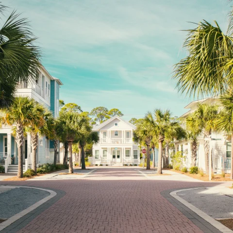 large white houses next to palm trees during daytime